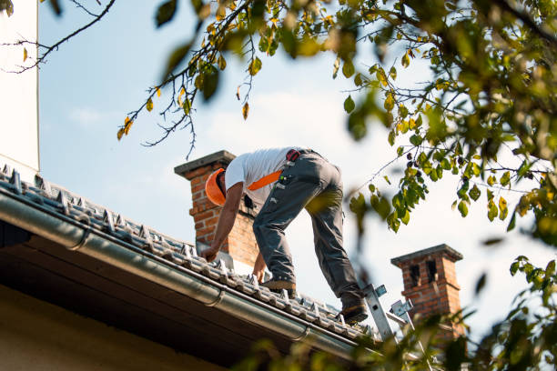 Best Commercial Roofing Services  in Deltana, AK